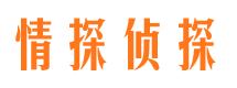 麦积区侦探公司